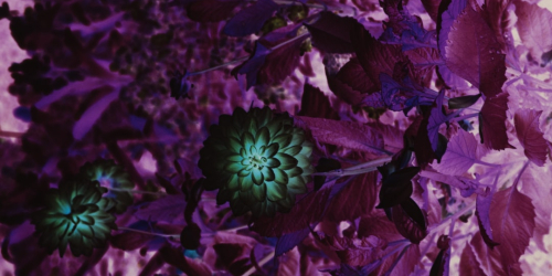 Sistematik şiddet: Kadın katliamları ve devletin rolü